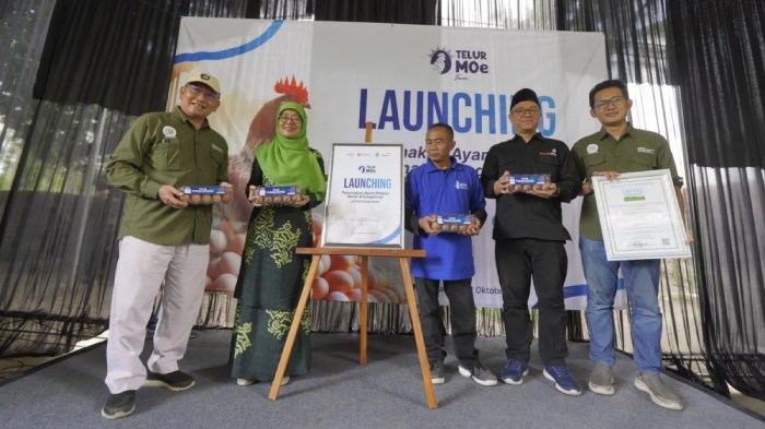 Pakan Ayam Petelur Naik, Peternak di Bandung Barat Terancam Bangkrut Pakan Ayam Petelur Naik, Peternak di Bandung Barat Terancam Bangkrut