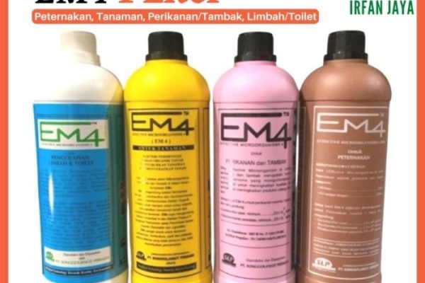 Em4 peternakan ayam di Rimbo Ulu, Kabupaten Tebo