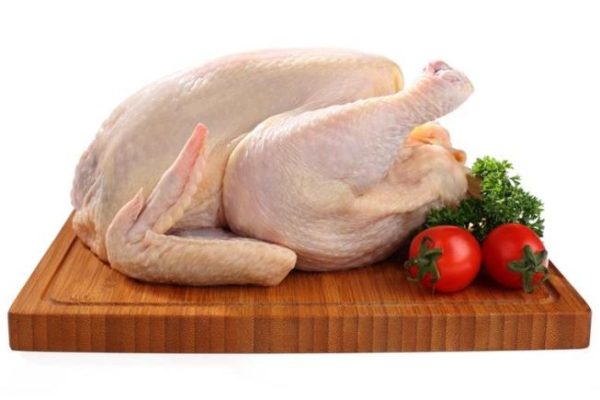 Ayam arab petelur di Dolok Pardamean, Simalungun