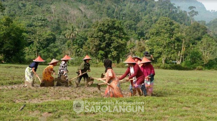 Tarian Mangku Berentak, Tradisi Warga Desa Bathin Pengambang Menari di ...