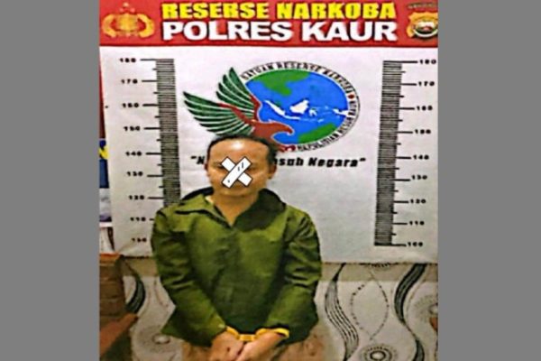 TERNAK AYAM KALKUN | ANTARA Foto