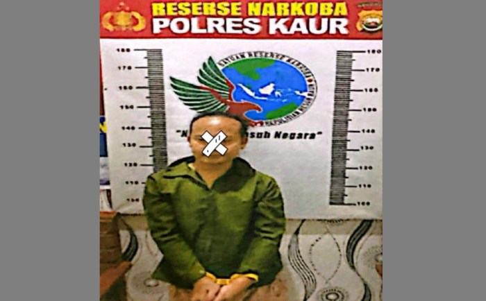 TERNAK AYAM KALKUN | ANTARA Foto