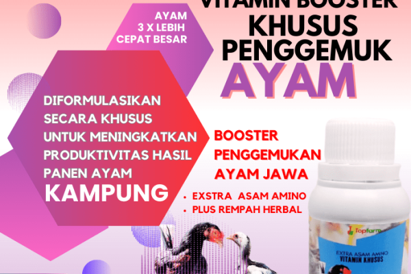 Daun penggemuk ayam di Rumbia, Jeneponto