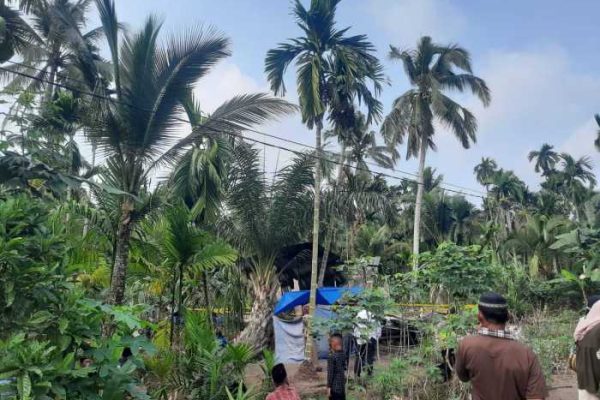 Diskominfo Provinsi Jambi | Gubernur Al Haris: Jambi Miliki Sumber Daya ...