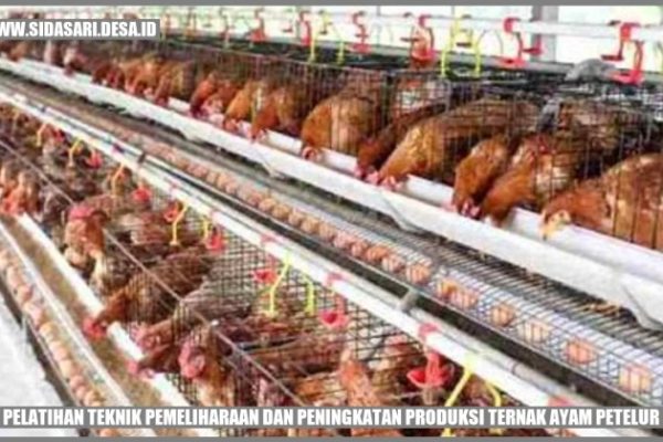 Ternak ayam petelur di Penajam, Penajam Paser Utara