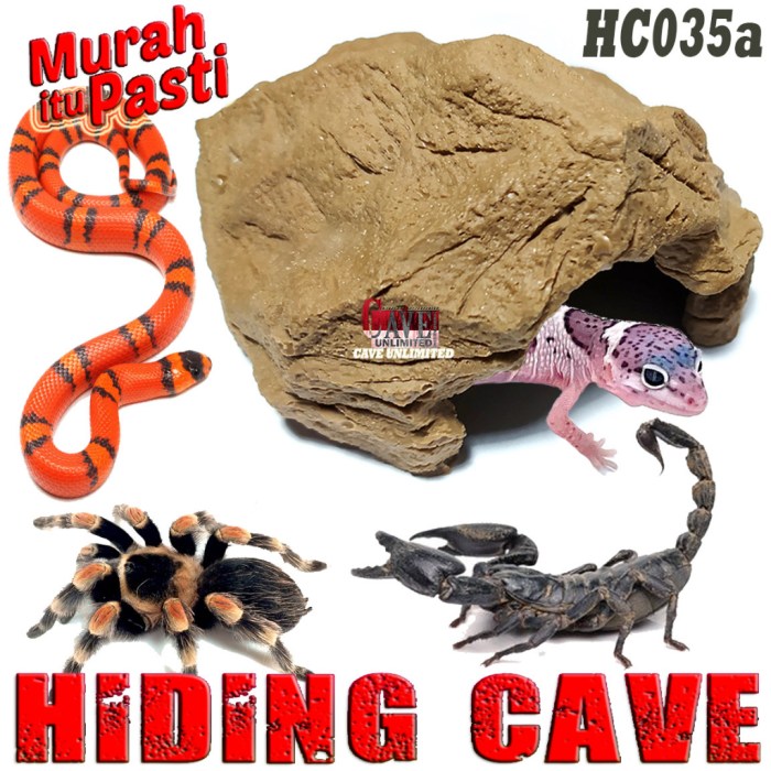 Kandang gecko/kandang reptile plus hiding cave