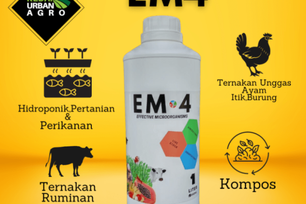 Em4 peternakan ayam di Pangkalan Kuras, Pelalawan