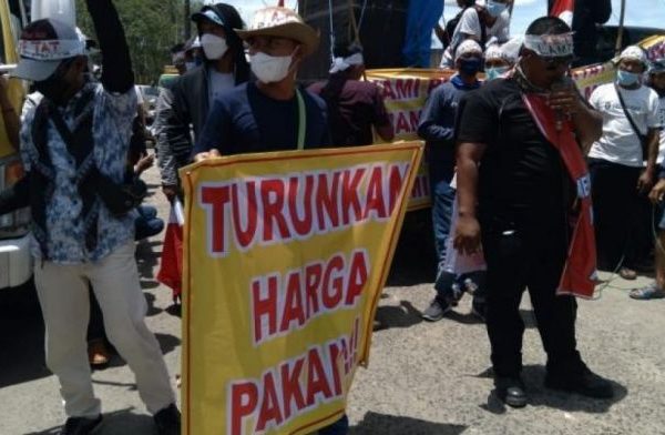 Budidaya ayam di Tanjung Bintang, Lampung Selatan