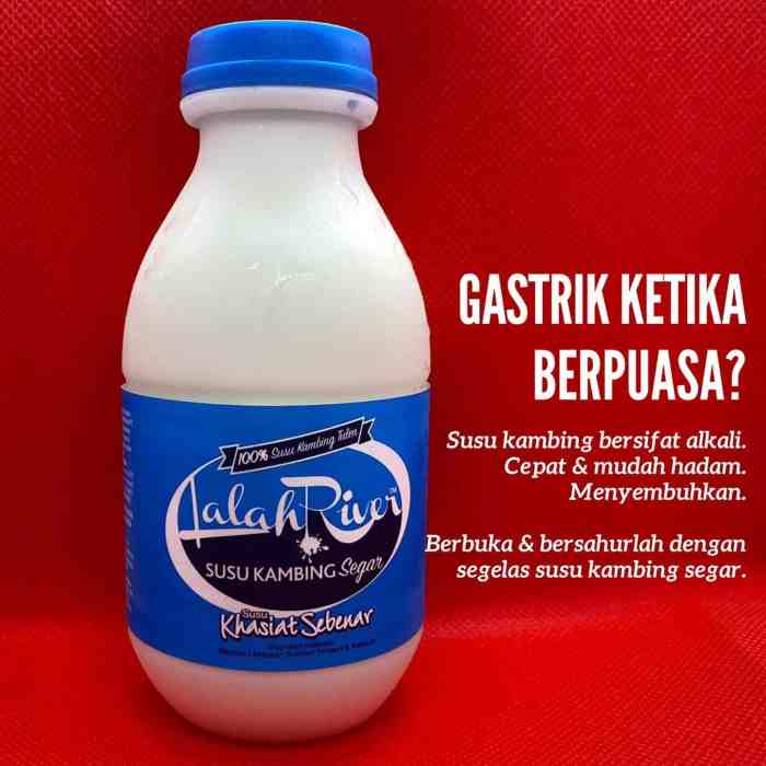 Susu Kambing Lalah River • PANTANGPLUS Susu kambing di Kampung Laut, Cilacap