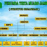 Ayam layer di Jambi Luar Kota, Kabupaten Muaro Jambi