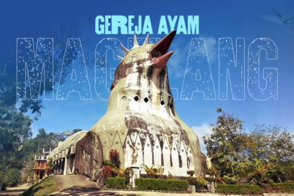 Ingin Ayam Ternak Kamu Capat Tumbuh? Simak Cara Pembuatan Magot Pakan ...