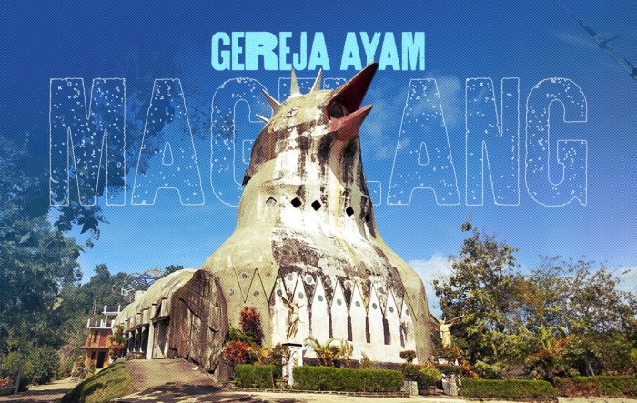 Tip Sukses Budidaya Ayam Pedaging: Panduan Lengkap untuk Peternak Indonesia