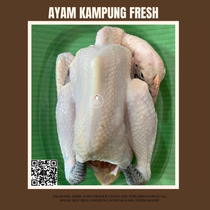 Jual Ayam Kampung Fresh 1.1 INSTANT | Shopee Indonesia