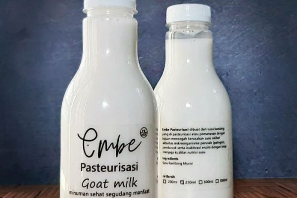 Susu kambing di Pekuncen, Banyumas