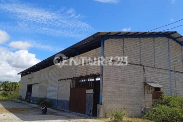 Ternak ayam petelur di Wotan Ulu Mado, Flores Timur