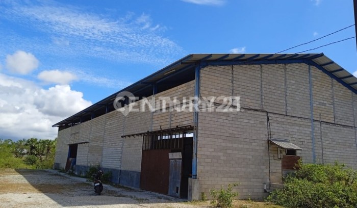 Ternak ayam petelur di Wotan Ulu Mado, Flores Timur