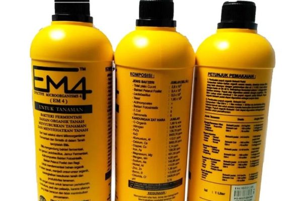 Em4 peternakan ayam di Kubu, Rokan Hilir