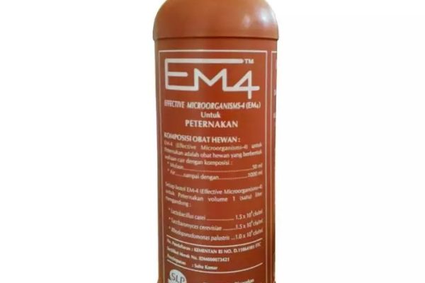 Em4 peternakan ayam di Kunto Darussalam, Rokan Hulu