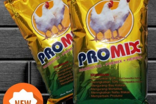 Daun penggemuk ayam di Sulamu, Kupang