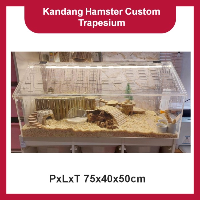 Kandang Akrilik hamster, reptil, gecko, gerbil