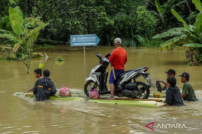 Daging kambing di Pagelaran, Kab. Pandeglang