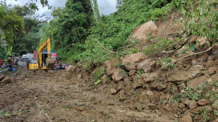 Majene Tubo sendana - YouTube Daun penggemuk ayam di Tubo Sendana, Majene