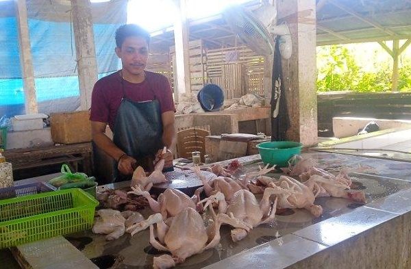 Harga ayam kampung potong di Tajur Halang, Bogor