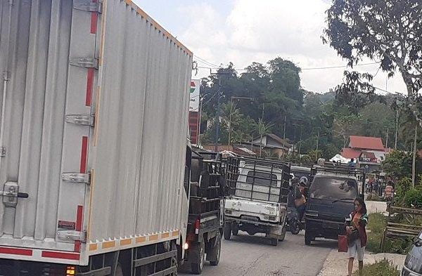 Daun penggemuk ayam di Wewewa Tengah, Sumba Barat Daya