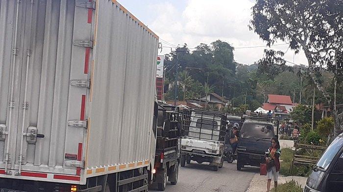 Daun penggemuk ayam di Wewewa Tengah, Sumba Barat Daya