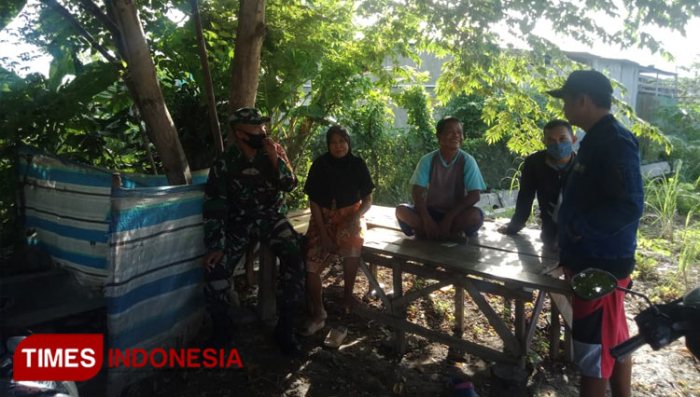Daun penggemuk ayam di Tatanga, Kota Palu