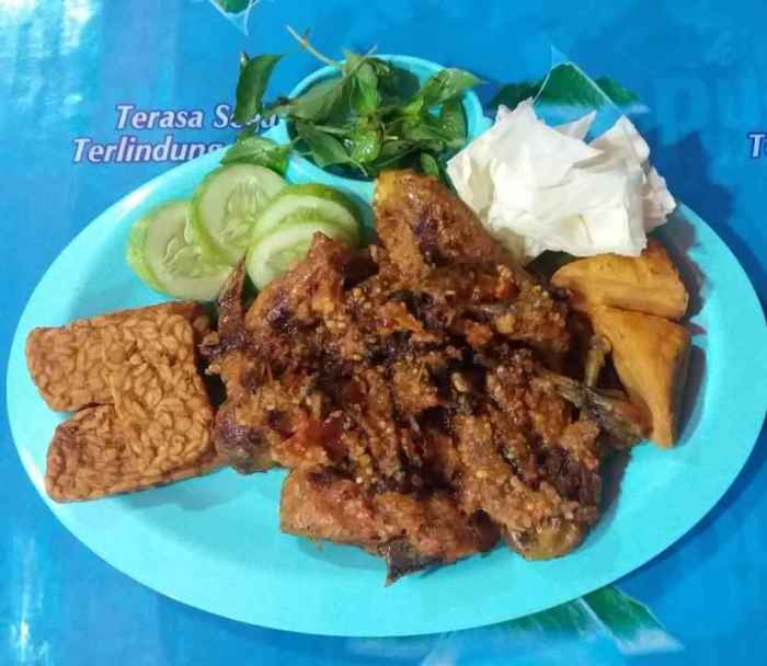 Promo AYAM AFKIR / AYAM PETELUR AFKIR / AYAM TUA KAMPUNG PER EKOR ... Ayam afkir di Talagasari, Karawang