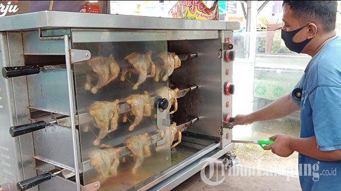 BUDIDAYA AYAM KAMPUNG DI BOGOR | ANTARA Foto Budidaya ayam di Rajabasa, Kota Bandar Lampung