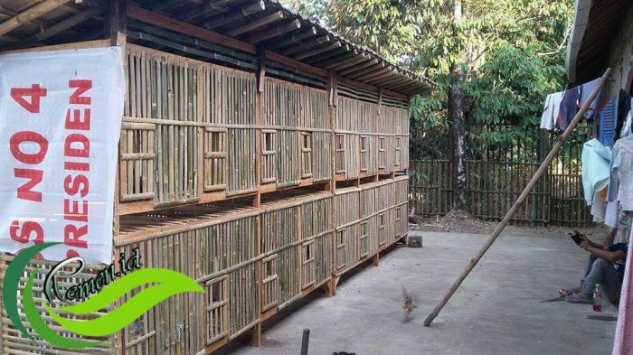 Budidaya ayam di Padang Panjang Timur, Kota Padang Panjang