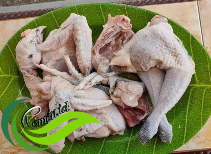 BIOTEKNOLOGI BIOBOOST K-LINK: BUDIDAYA AYAM KAMPUNG BIOTEKNOLOGI BIOBOOST K-LINK: BUDIDAYA AYAM KAMPUNG