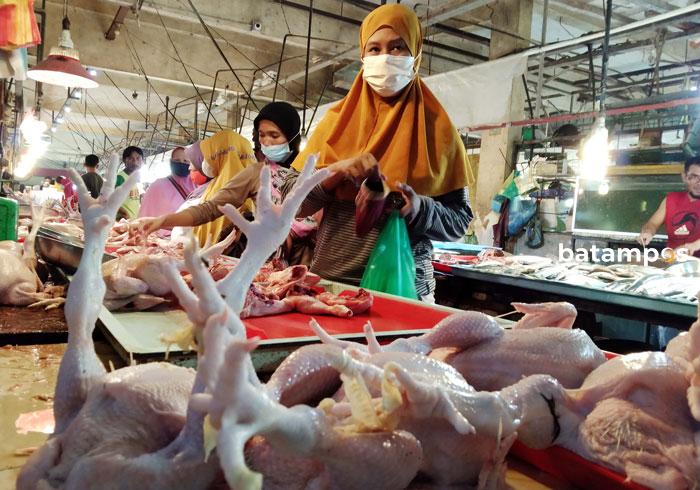 Harga Ayam Potong Segar di Batam Masih Mahal - Metropolis