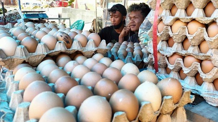 Harga Telur Ayam Ras di Pariaman Turun Sepekan Terakhir, Sentuh hingga ...