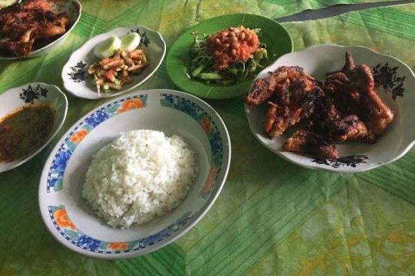 Daun penggemuk ayam di Orong Telu, Sumbawa