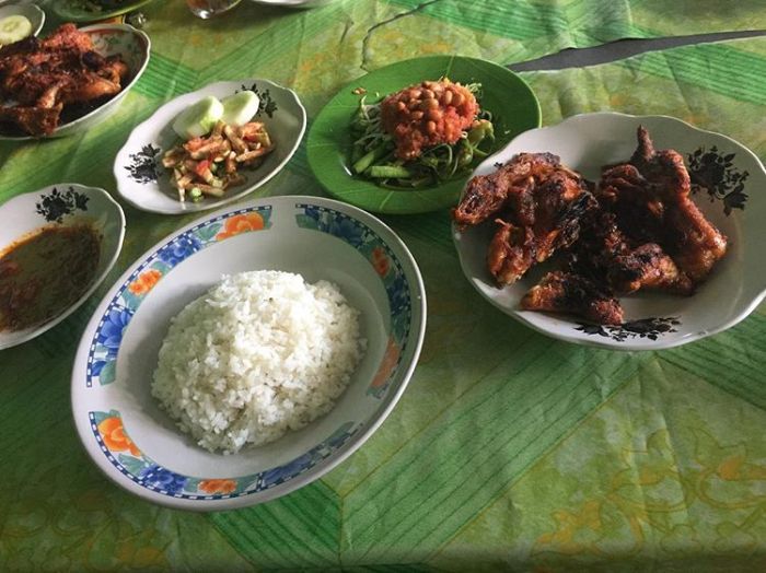 Daun penggemuk ayam di Orong Telu, Sumbawa