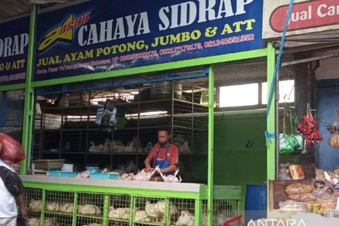 Harga ayam kampung potong di Rajagaluh, Majalengka