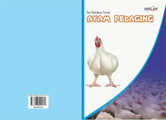 Industri ternakan ayam dijangka rugi RM200 juta sebulan - Kosmo Digital Ternak ayam pedaging di Nasal, Kaur