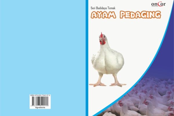 Ternak ayam pedaging di Seberang Musi, Kepahiang