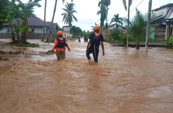 Daun penggemuk ayam di Larompong, Luwu