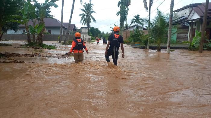 Daun penggemuk ayam di Larompong, Luwu