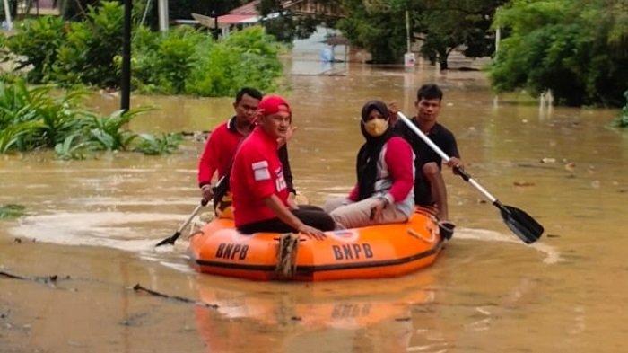 Budidaya ayam di Koto Salak, Kabupaten Dharmasraya