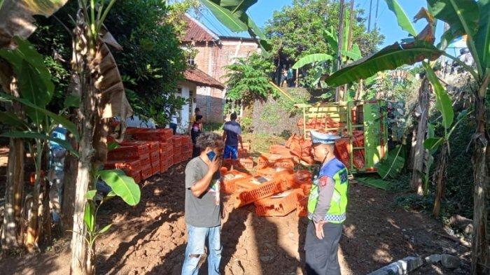 Ayam ternak di Patuk, Gunungkidul