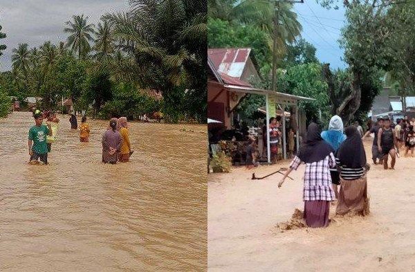 Daun penggemuk ayam di Banawa Selatan, Donggala