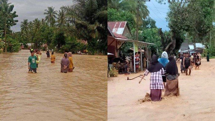 Daun penggemuk ayam di Banawa Selatan, Donggala