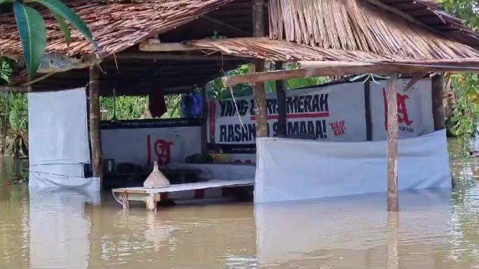 Daun penggemuk ayam di Baebunta Selatan, Luwu Utara