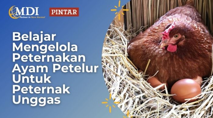 Tanah dan Bangunan Peternakan Ayam Petelur Aktif, Ijin Lengkap di Kab ... Tanah dan Bangunan Peternakan Ayam Petelur Aktif, Ijin Lengkap di Kab ...