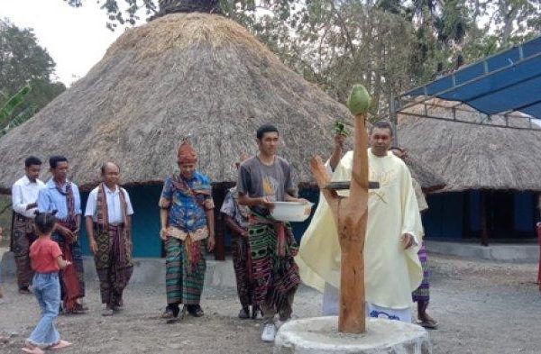 Daun penggemuk ayam di Insana Utara, Timor Tengah Utara